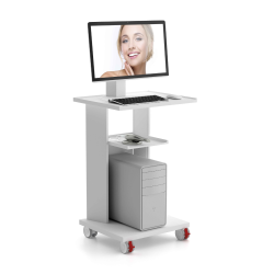 Masuta pentru scaner...