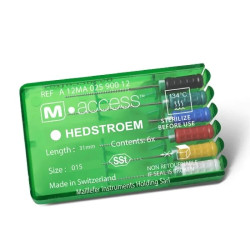 Hedstroem File M-Access 31...